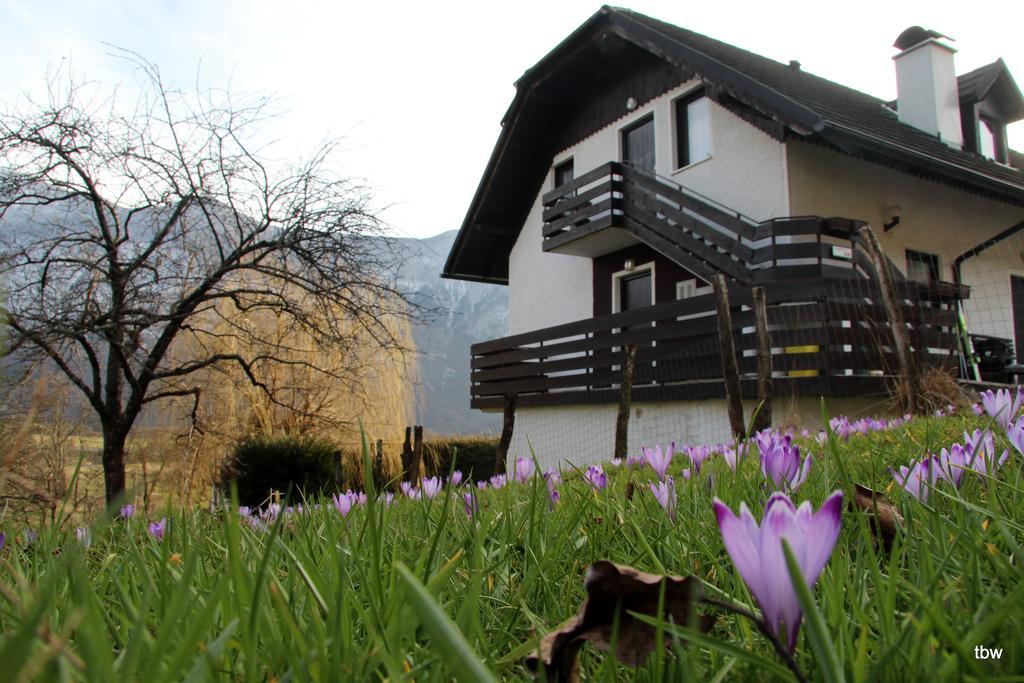 Apartments Tatjana Бовец Экстерьер фото